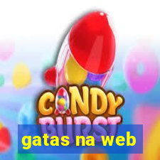 gatas na web